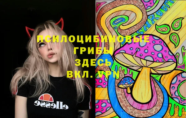 MDMA Premium VHQ Алексеевка