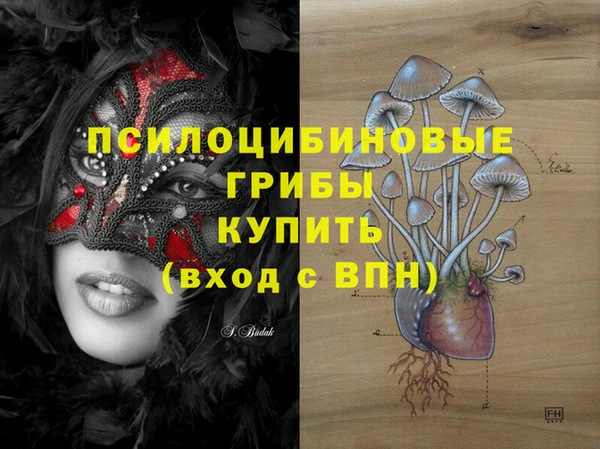 mix Магас