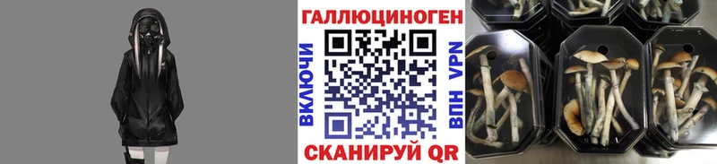 купить наркоту  Глазов  Галлюциногенные грибы мицелий 