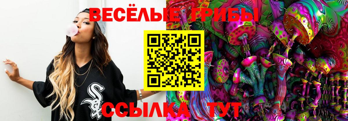 Галлюциногенные грибы мицелий Глазов