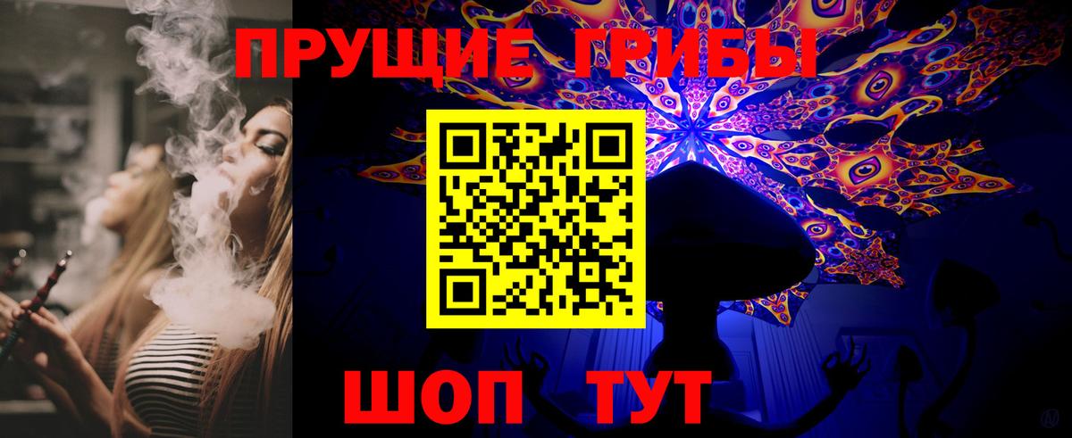 Псилоцибиновые грибы GOLDEN TEACHER  Вход с VPN  Псилоцибиновые грибы Cubensis  Глазов 